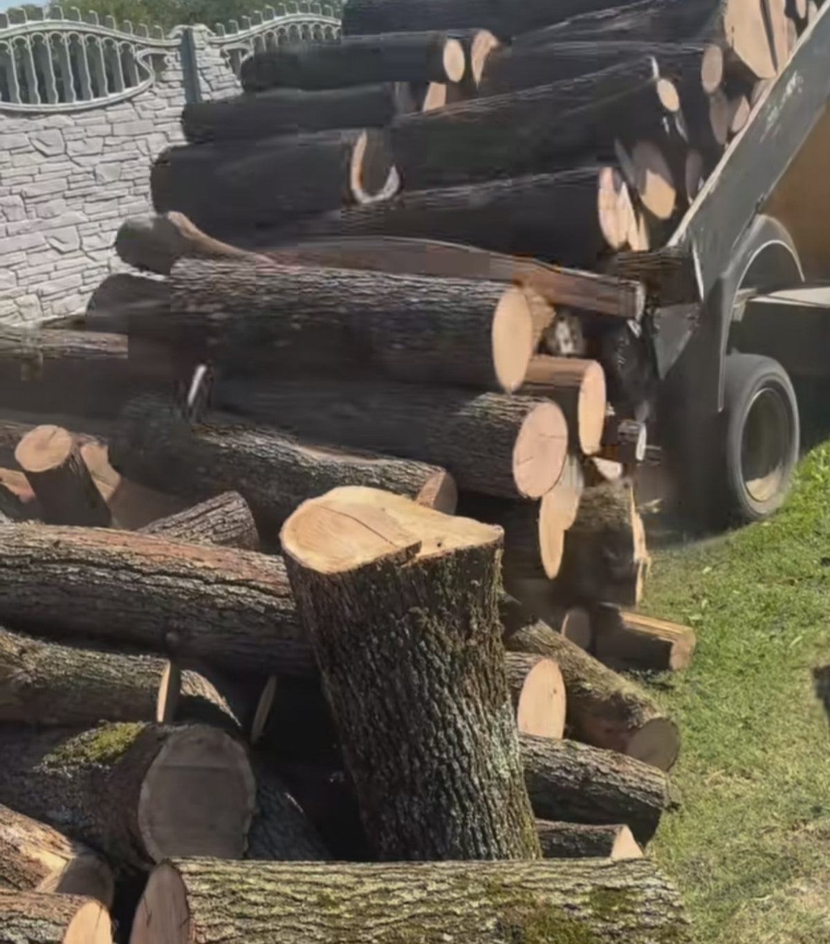 Yakacak odun için kesilmiş kütüklerin hazırlık aşaması – KAMPKOR